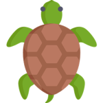 Super Turtle Studios
