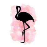 Olivia Flamingo