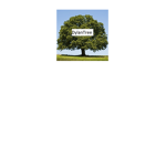 Dylan tree Group Btw Didnt know there was a band