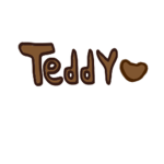 ~ The Teddy Squad ~