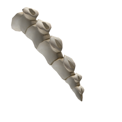 Skeleton Dinosaur Tail thumbnail