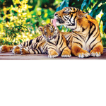 Tiger girls & boys