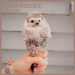 strawberries closet~