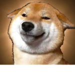The Shibe Tribe
