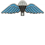 Blue army wings