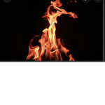 Fire Cobrassss