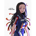 MHA DS GROUP