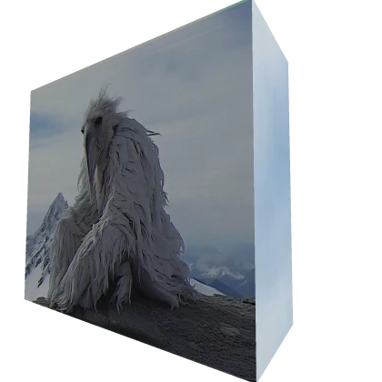 What is the Erosion Bird 