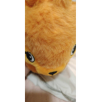 KITTYKORNI