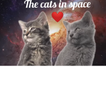 The cats in space
