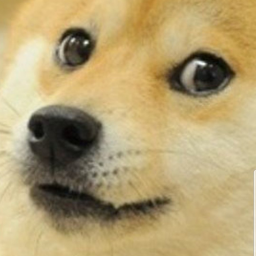 Cats Vs. Doges
