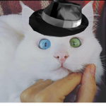 crazygamerboy