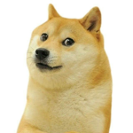 Doge Clan for vip