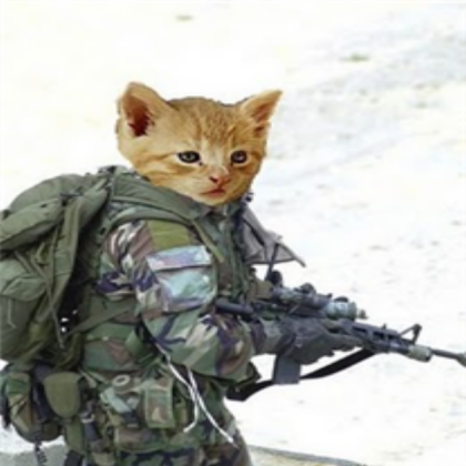 Army Cat Roblox decal
