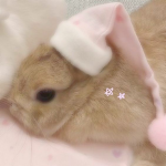 Cherry blossom Charms