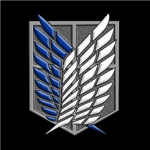 the regiments of the walls