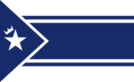 STARLINK CORPS