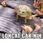 katak lompat
