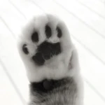 awwh. Group Thumbnail