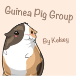 Guinea pig group :) :)