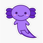 The purple axolotls