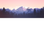 Nevaythegreat