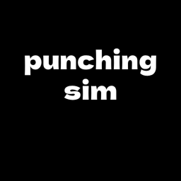 punching sim