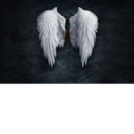 BrokenWingsRP