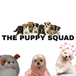 Anime puppys?