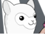The llama girl