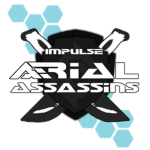Impulse: Aerial Assassins