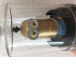 Minions Boys