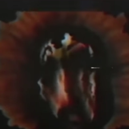 𝐥𝐞𝐚𝐝𝐬 𝐭𝐨."