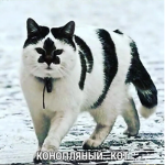 Nikita_Group
