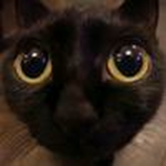 Kajou