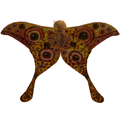 Moth Front Roblox item