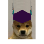 Barok