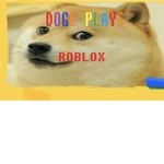 Doge Cake WHAT