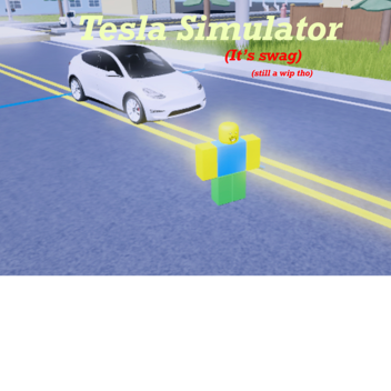 Tesla Simulator