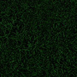 grass