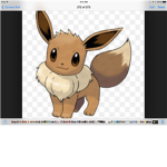 Ultimate eevee fan club