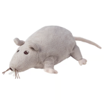 rat studios entertainment