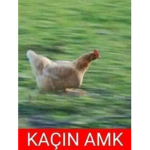 TFF - Ülke Takımları