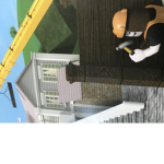 Wild build
