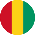 People's Army of Guinea