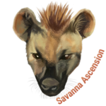 Savanna Ascension