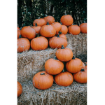 Pumpkin Patch & Mushroom Cluster