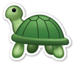 Green Turtlez