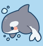 Sharkyy!