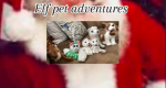 Elf pet adventures
